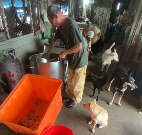 天氣越冷毛孩食量越大飼料需求量增加